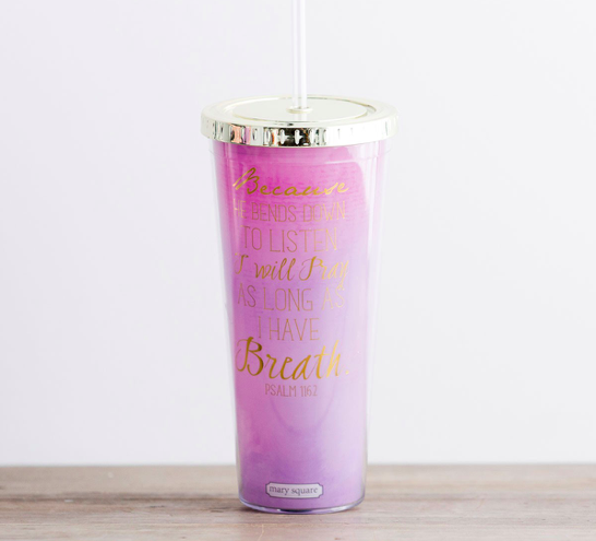 I Will Pray - Insulated Straw Tumbler All Things Faithful DaySpring