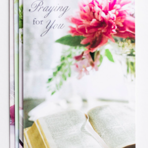 Product Praying for You - Assuring Love - 12 Boxed Cards, KJV- AllThingsFaithful DaySpring