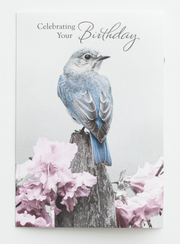 Product Birthday - A Touch of Color - 12 Boxed Cards, KJV- AllThingsFaithful