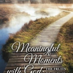 Product-Meaningful Moments with God: The Fruits of Silence, Solitude, & Stillness: A 31-Day Devotional Inspired by a Journey with God through Europe by Avis Winifred-AllThingsFaithful