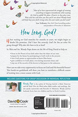 Product-Amazon-Wait and See: Finding Peace in God's Pauses and Plans by Wendy Pope-AllThingsFaithful
