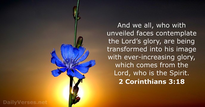Post-Bible Verses-13 Bible Verses about Transformation- AllThingsFaithful