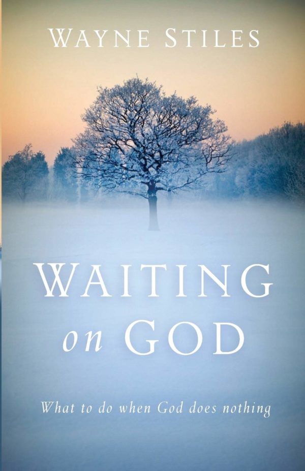 Product-Book-Waiting on God: What to Do When God Does Nothing by Wayne Stiles-Amazon-AllThingsFaithful