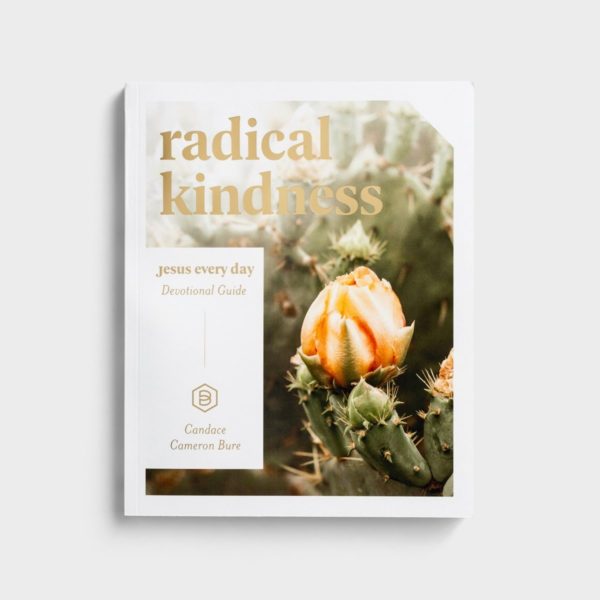books-radicalkindness-allthingsfaithful