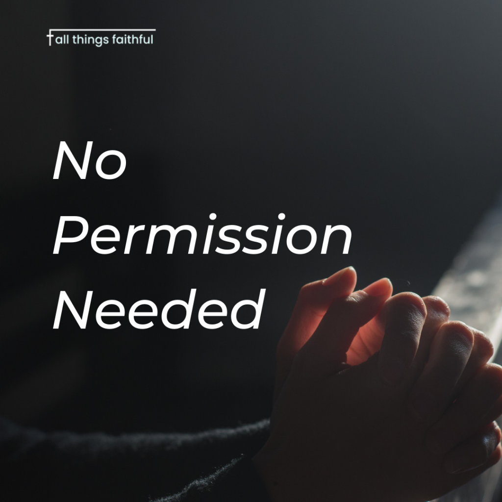 What Does Permission Means